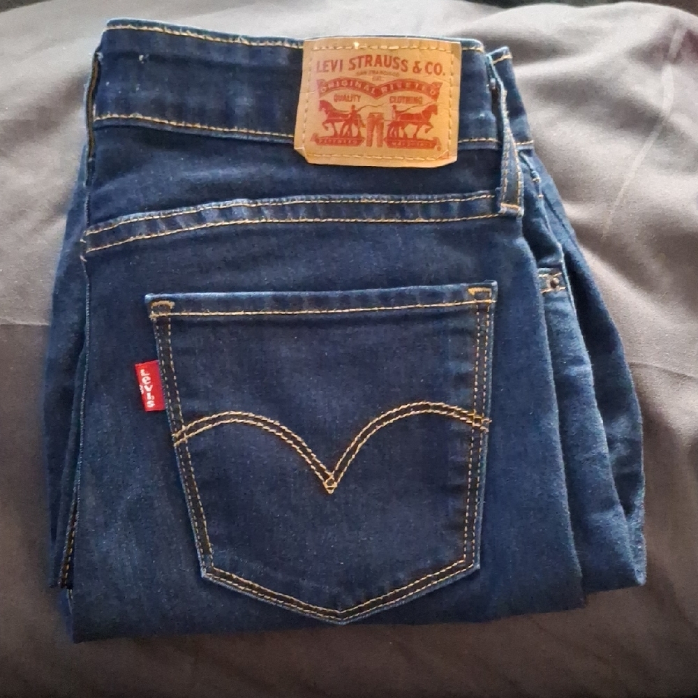 Levi's Blue Skinny Jeans